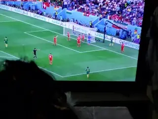 Terebi De Porotugaru VS Uruguay o Mite Iru Ma, Watashi Wa Rinjin o Fakku Shimasu. Qatar World Cup 22