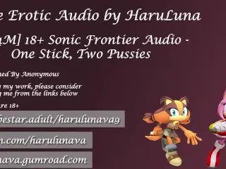 18+ Audio - one Stick, two Pussies