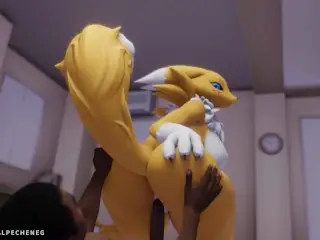 Renamon: Ride on