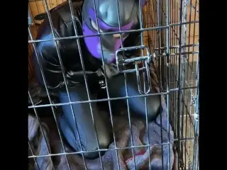 Scarlett Kage Bad Puppy Obedience - Bondage, Cage, Humiliation, Dildo Sucking, SPH