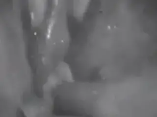 Lady Lovers Site Seer