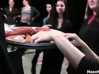 HAZED Sausage Sucking & Pussy Licking