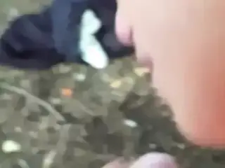 Brockton do it sucking big cock