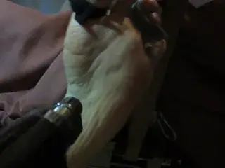Tortured foot after bastinado