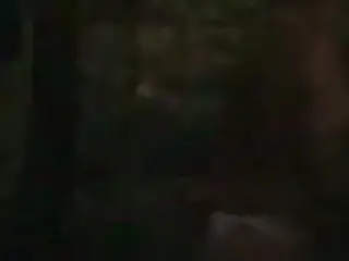 Empieza la fiesta!!