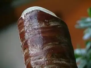 Angelica with Yucca Palm