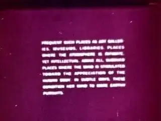 Vintage Softcore couple