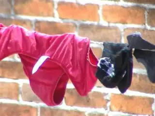 pantys de una concubina rica