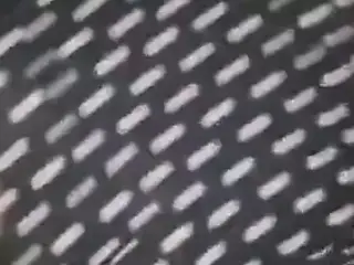 Chubby has a quickie sex