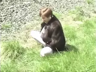 N.T.french girl pissing