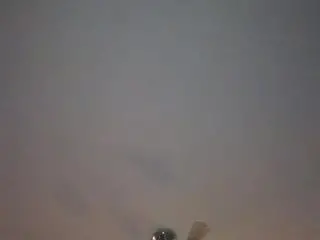 English blowjob and cumshot