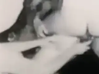 Retro Porn Archive - hard109