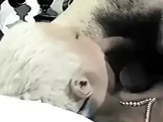 Dushca's Bordello (1980s)