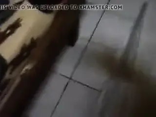 Standbomb doggy 2k19