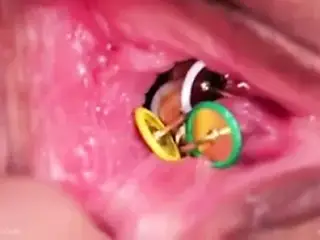 Queensnake.com - Compilation