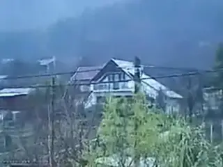 Dildo Express (2001)