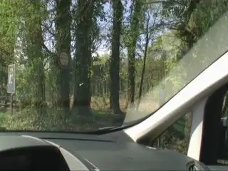 Quickie in the Forest