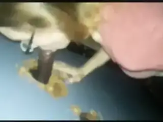 Bbc at the gloryhole for white slut