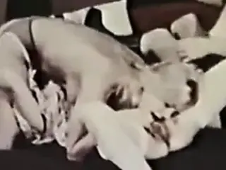 3 Way Play Site Seer