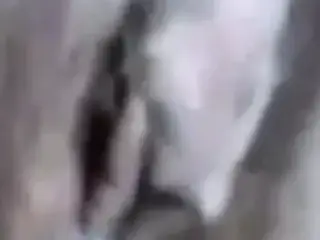 Tupa kurva ulqta sus sperma