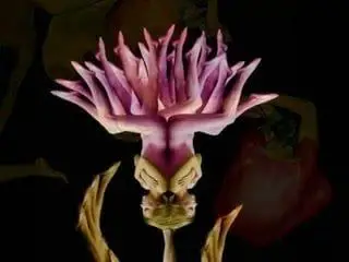 Flowering Nude Girls