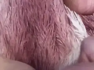 I love masturbating to porn