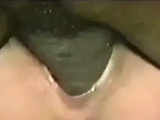 Wer will mich  so ficken-Bento