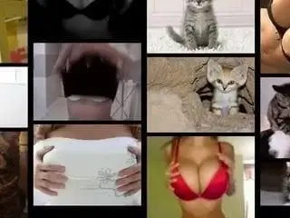 Titties and Kitties! tittiesnkitties