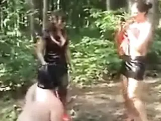 Fun in the Forest