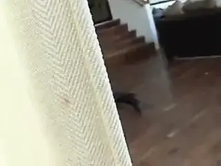 US.Angels A10 babe boots bdsm