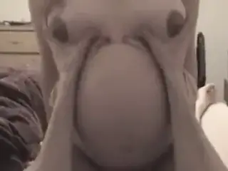 pregnant hoe gets stuffed full of cock