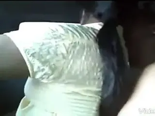 desi girls in car sex