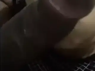 YellowBone with braces Amazed And Suck Dick