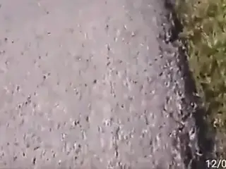Lo dedico a te brutto stronzo approffittatore