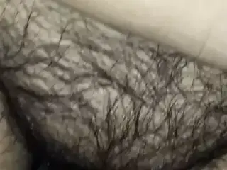 chatte poilu jador ca