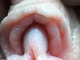 Clitoris close-up