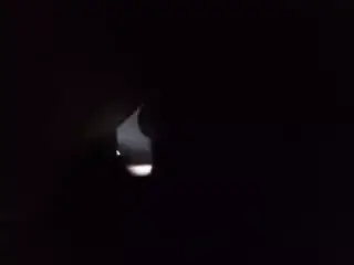 udata zena krese se iz zadovoljstva (zemun)