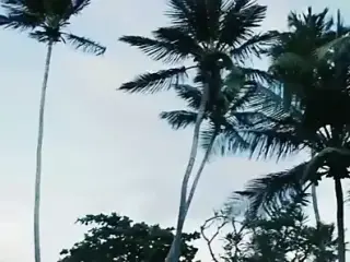 Emily Ratajkowski - best of