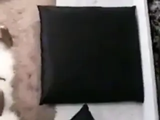 Leisurely Lesbian Loving