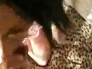 Geile Amateurschlampe hart Anal Gefickt!!