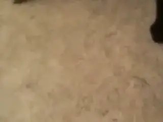 My first home video