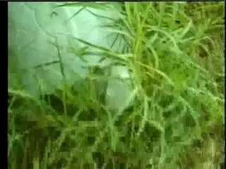 Blonde milf eats her brunette girlfriends pussy