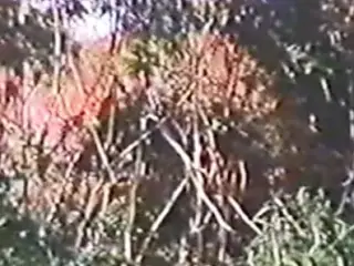 A QUINTA DIMENSaO DO SEXO