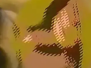 Japan adult video from 1988