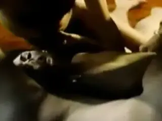 Vintage Clips