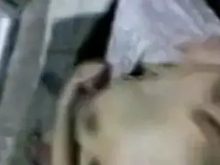 INDIAN BIG TIT