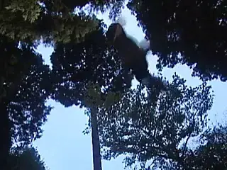 Japanese Erotic Woman Ninja