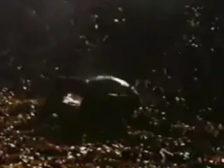 Carole Laure - La Nuit Hortense