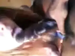 mrs shorts CumPlay