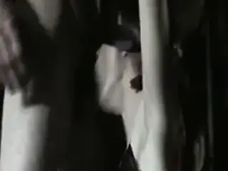 Bondage facial german